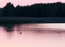 Pokoje nad Jeziorem Mazury | Jezioro. Dom nad Zatoką